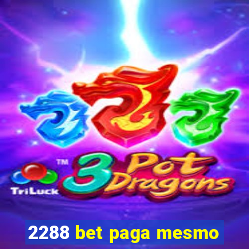 2288 bet paga mesmo